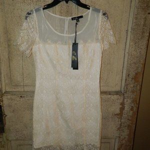 C. Luce Lace Dress Size Small (X-36)